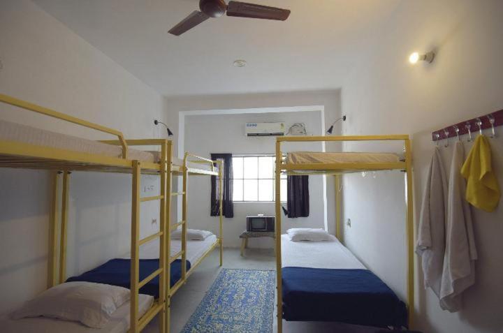 Eco Family Hostel Jaipur Extérieur photo